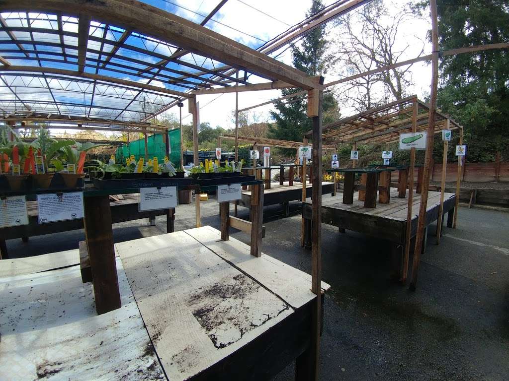 Orchard Nursery | 4010 Mt Diablo Blvd, Lafayette, CA 94549, USA | Phone: (925) 284-4474