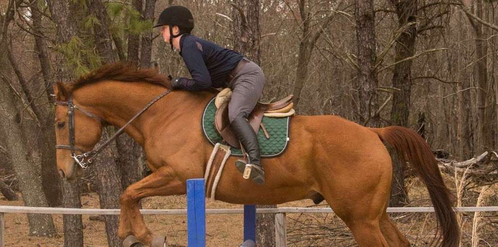 The Equestrian Experience | 260 Burlington Rd, Freehold, NJ 07728, USA | Phone: (908) 334-1042