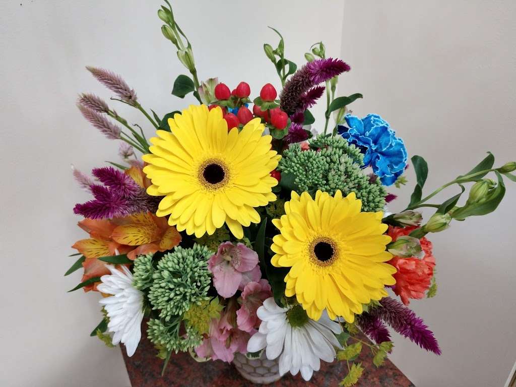Bens Flower Shop | 1509 Potomac Avenue, Longmeadow Shopping Center, Hagerstown, MD 21742, USA | Phone: (301) 791-0155