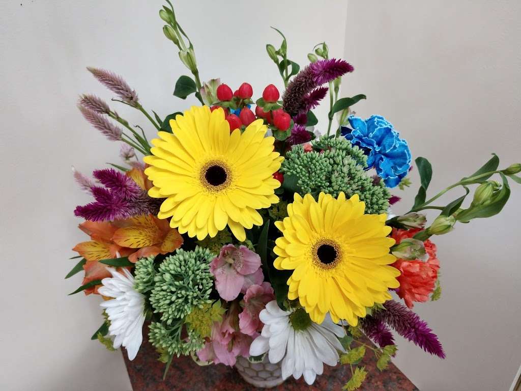 Bens Flower Shop | 1509 Potomac Avenue, Longmeadow Shopping Center, Hagerstown, MD 21742 | Phone: (301) 791-0155