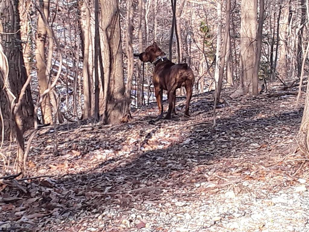 Fort Dupont Park | Minnesota Ave SE, Washington, DC 20019, USA | Phone: (202) 426-7723