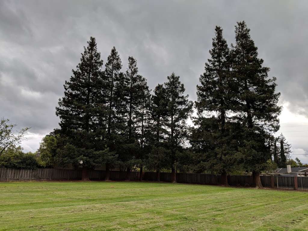 Challenger School | 1185 Hollenbeck Ave, Sunnyvale, CA 94087, USA | Phone: (408) 245-7170