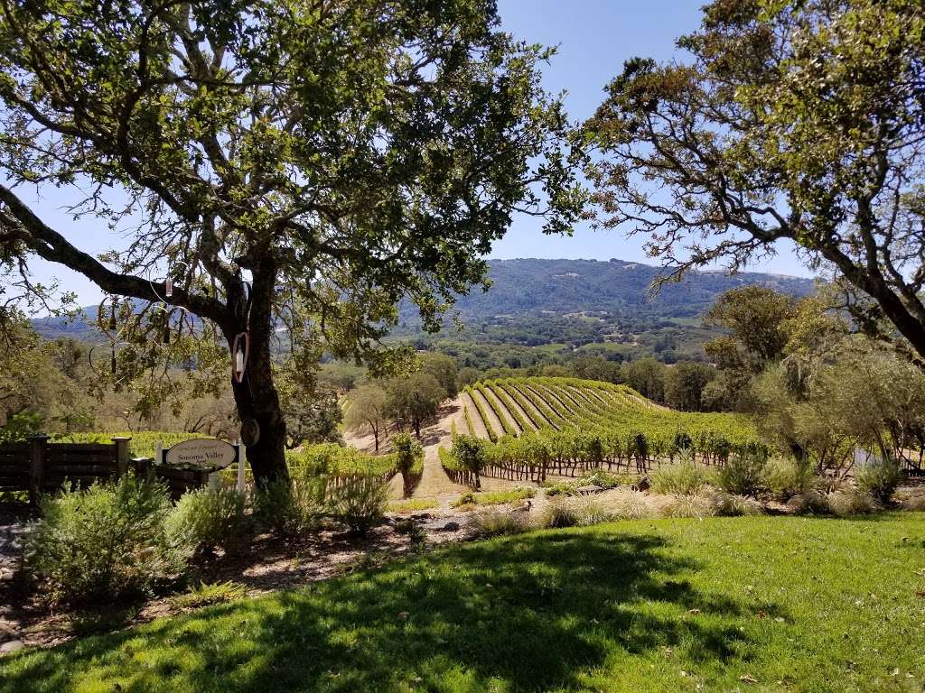 Ultimate Wine Tours | 51 Temelec Cir, Sonoma, CA 95476 | Phone: (707) 867-0994