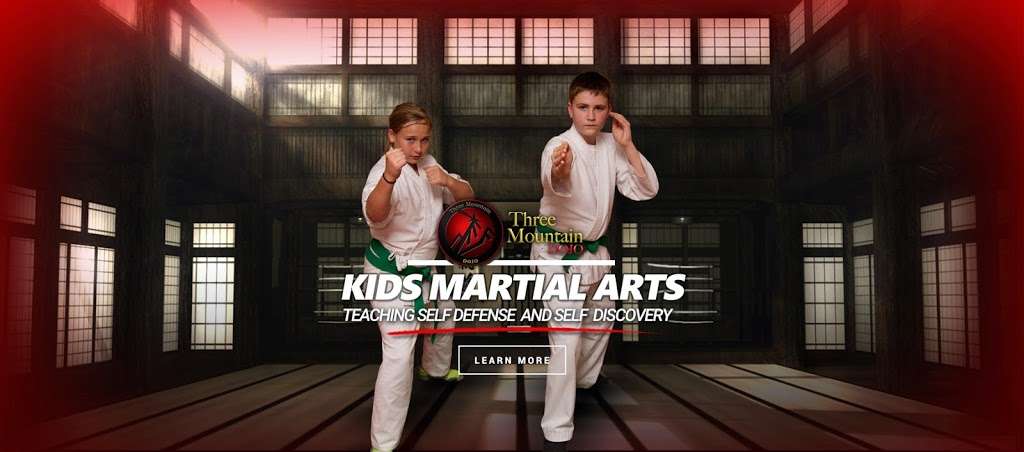 Three Mountain Dojo | 3412 First Light Drive, Castle Rock, CO 80109, USA | Phone: (303) 667-7087