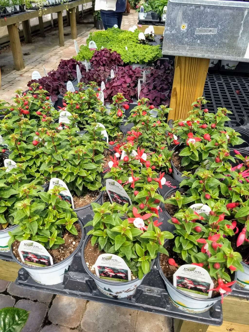 Sunny Meadows Garden Center | 7437 Sharpsburg Pike, Boonsboro, MD 21713, USA | Phone: (301) 302-0740