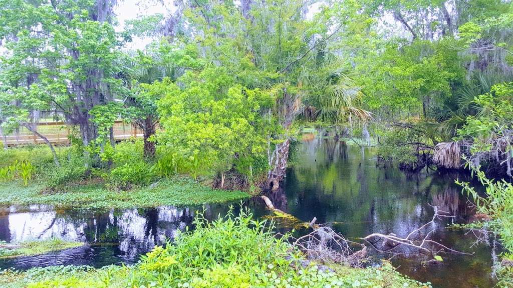 Fenney Nature Trail | Wildwood, FL 34785, USA