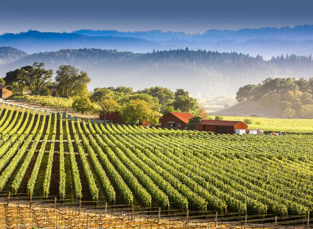 Wine Tours By Shane | 637 Edenderry Dr, Vacaville, CA 95688, USA | Phone: (707) 450-8202