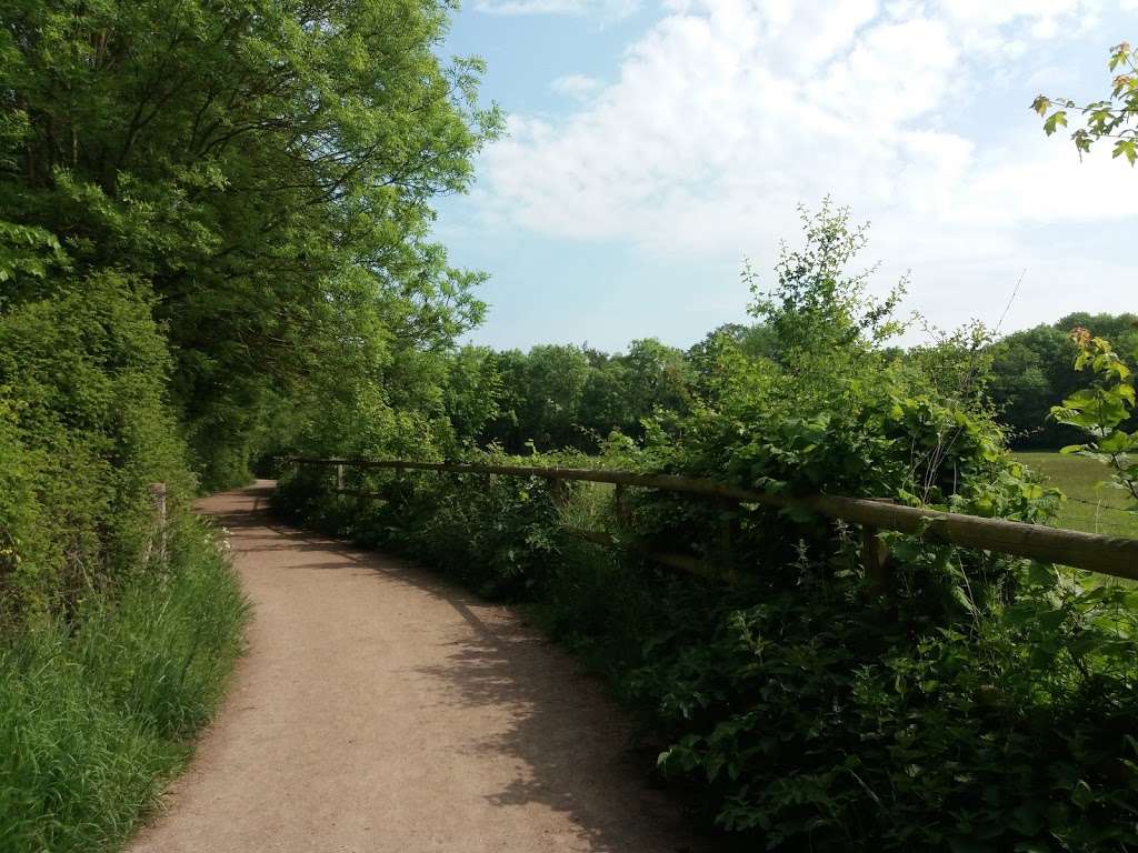 Whitewebb Forest Pond | Enfield EN2 9HH, UK