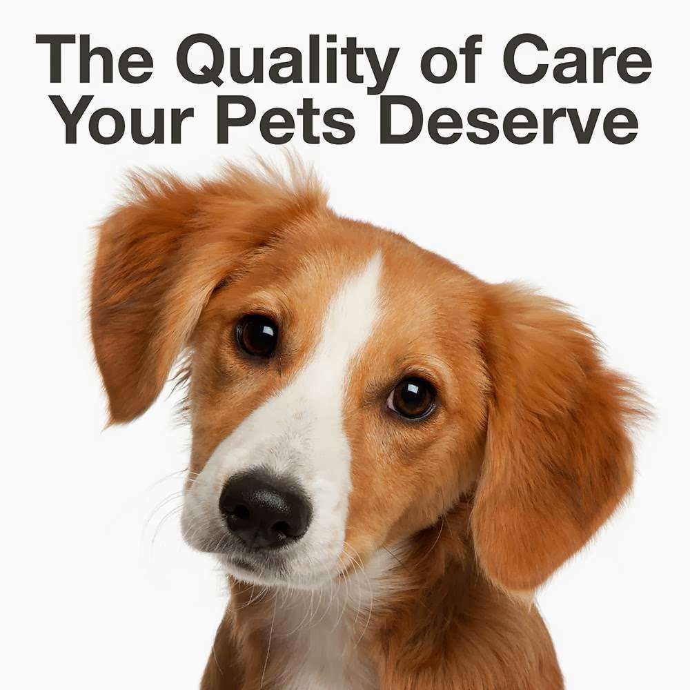 Aurora Animal Hospital | 20250 E Smoky Hill Rd, Centennial, CO 80015, USA | Phone: (303) 680-7305