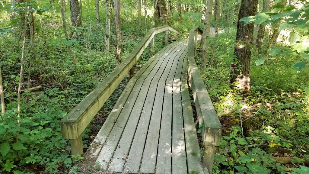 Big Walnut Nature Preserve | 9498 N Co Rd 425 E #9100, Bainbridge, IN 46105, USA