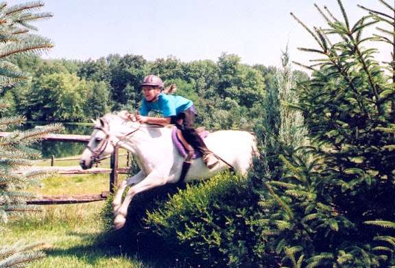 Trails End Farm | 136 Horse Happy Rd, Newmanstown, PA 17073, USA | Phone: (717) 949-2752