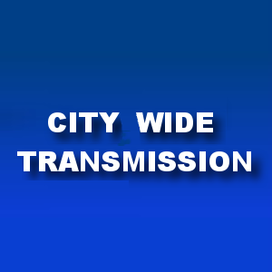 City Wide Transmission | 16301 Farm to Market Rd 1325, Austin, TX 78728, USA | Phone: (512) 388-3338