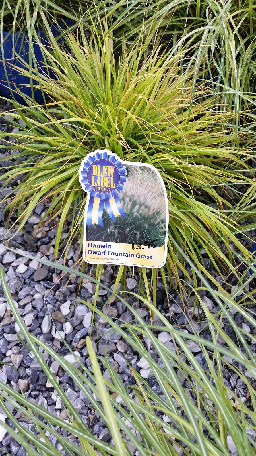 Aucheys Plant Farm | 1851 Baltimore Pike, Hanover, PA 17331, USA | Phone: (717) 632-9292