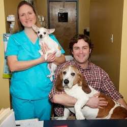 Deer Creek Animal Hospital | 6788 W 135th St, Overland Park, KS 66223, USA | Phone: (913) 851-3700