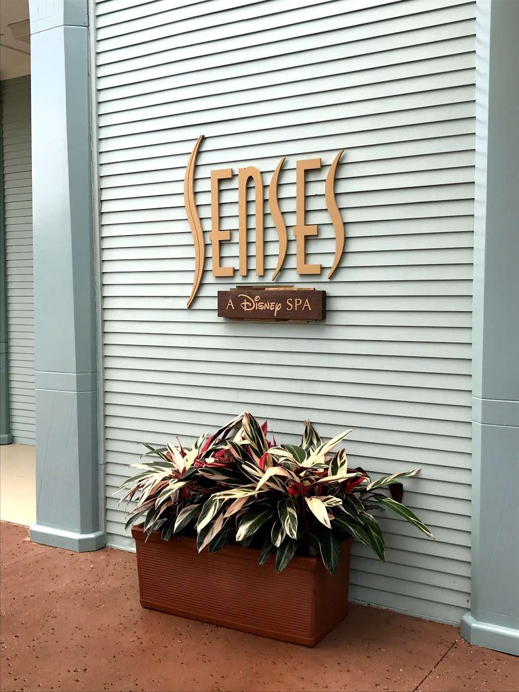 Senses - A Disney Spa | 1960 Broadway, Orlando, FL 32836 | Phone: (407) 939-7727