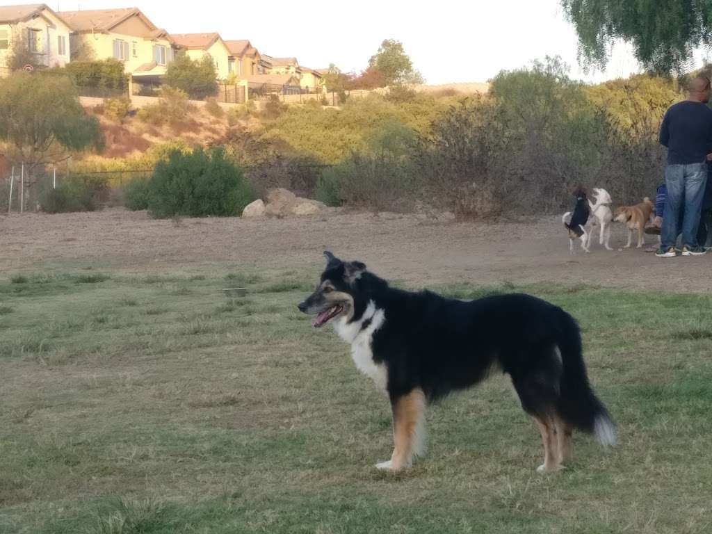 Torrey Hills Dog Park | 4645 Carmel Mountain Rd, San Diego, CA 92130