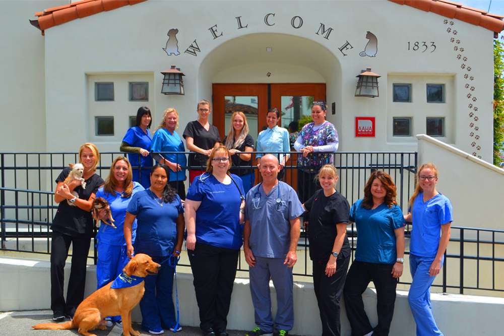 San Clemente Veterinary Hospital | 1833 S El Camino Real, San Clemente, CA 92672, USA | Phone: (949) 492-5777