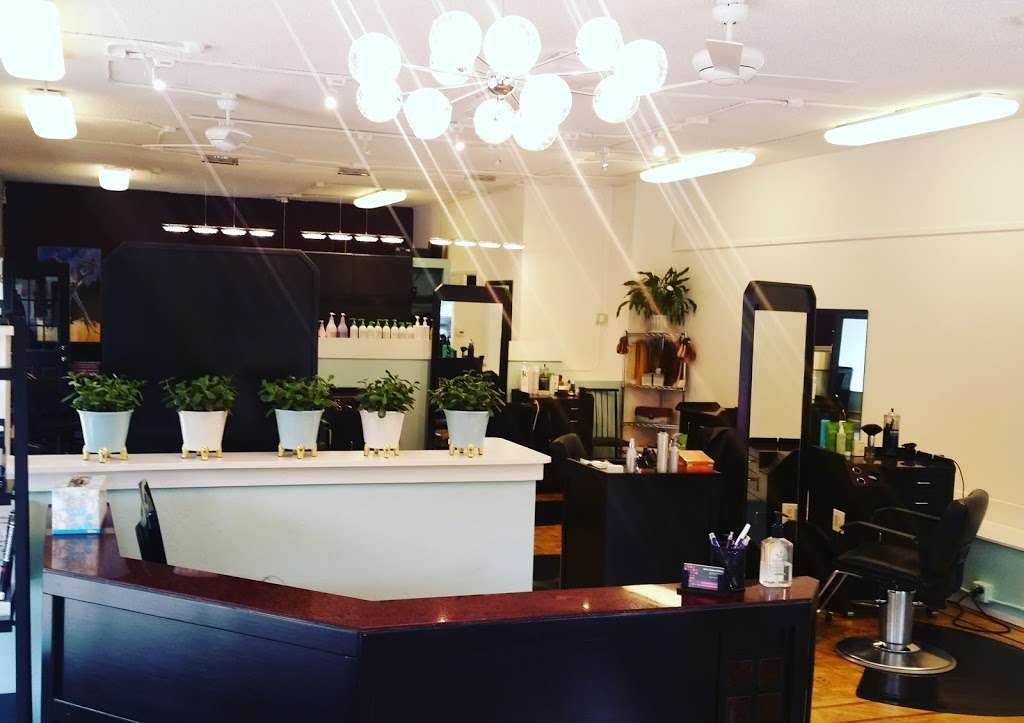 Bella Colore Salon | 3042 E 6th Ave, Denver, CO 80206, USA | Phone: (303) 399-4200