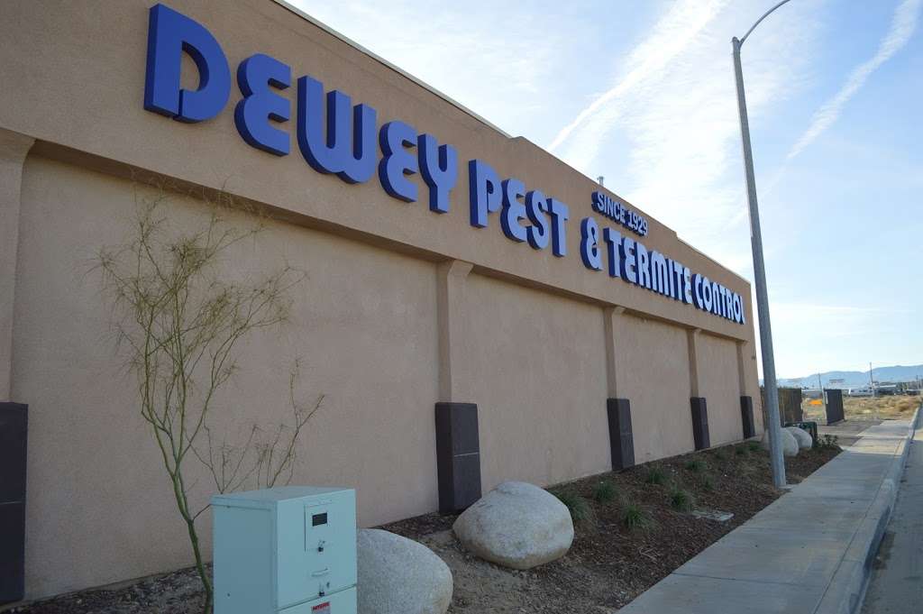 Dewey Pest Control | 45440 23rd St W, Lancaster, CA 93536, USA | Phone: (661) 942-1171