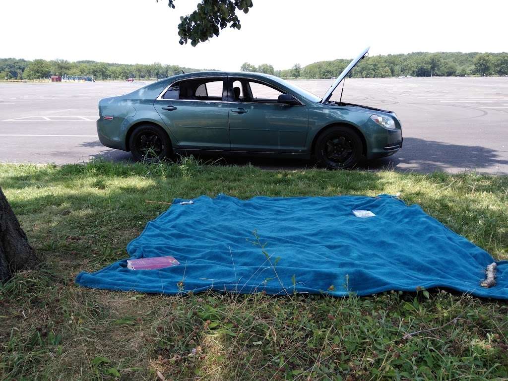 Orchard Beach Parking Lot | Unnamed Road, The Bronx, NY 10464, USA