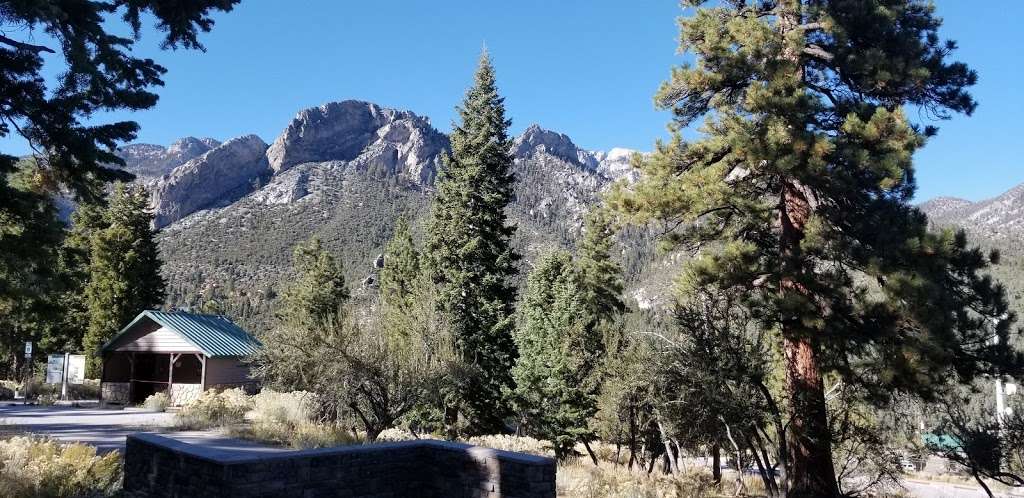 Cathedral Rock Trailhead | Cathedral Picnic Area, Mt Charleston, NV 89124