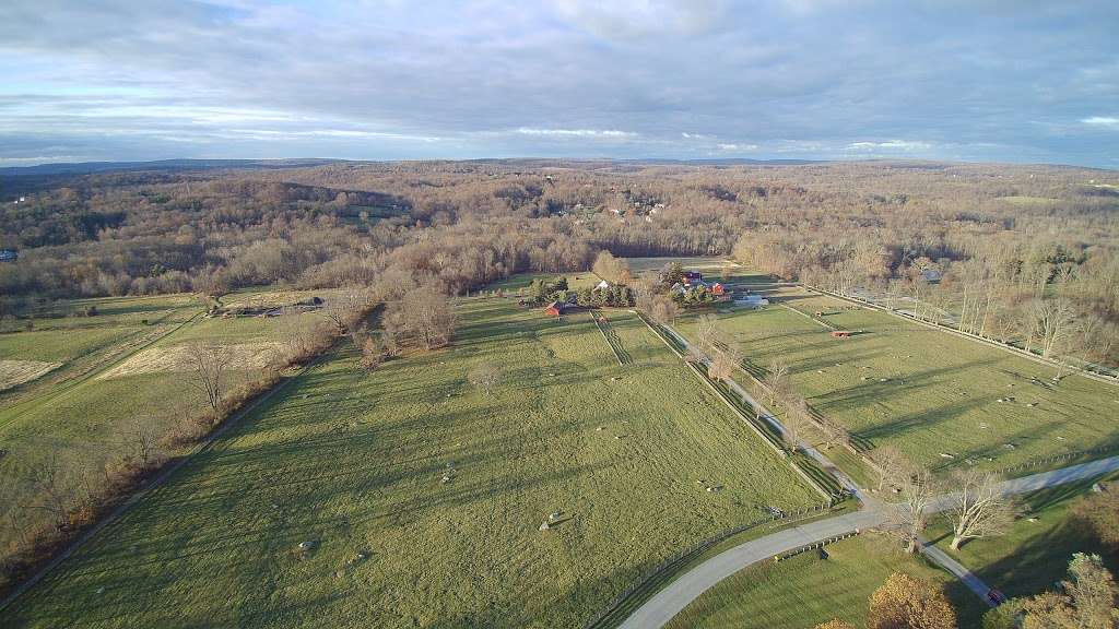 Springton Manor Farm | 860 Springton Rd, Glenmoore, PA 19343, USA | Phone: (610) 942-2450