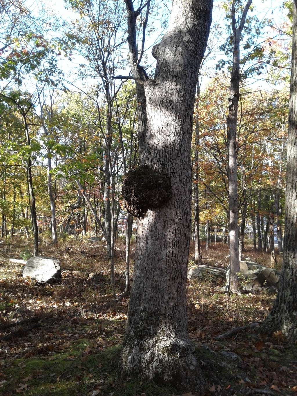 Hemlock Farms Mailroom and Ballfield in Hemlock Farms Rd, Hawley, PA