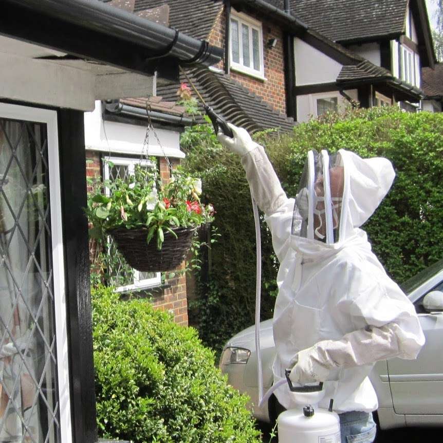 Reigate Pest Control | 2 Isbells Dr, Reigate RH2 8AD, UK | Phone: 01737 888191