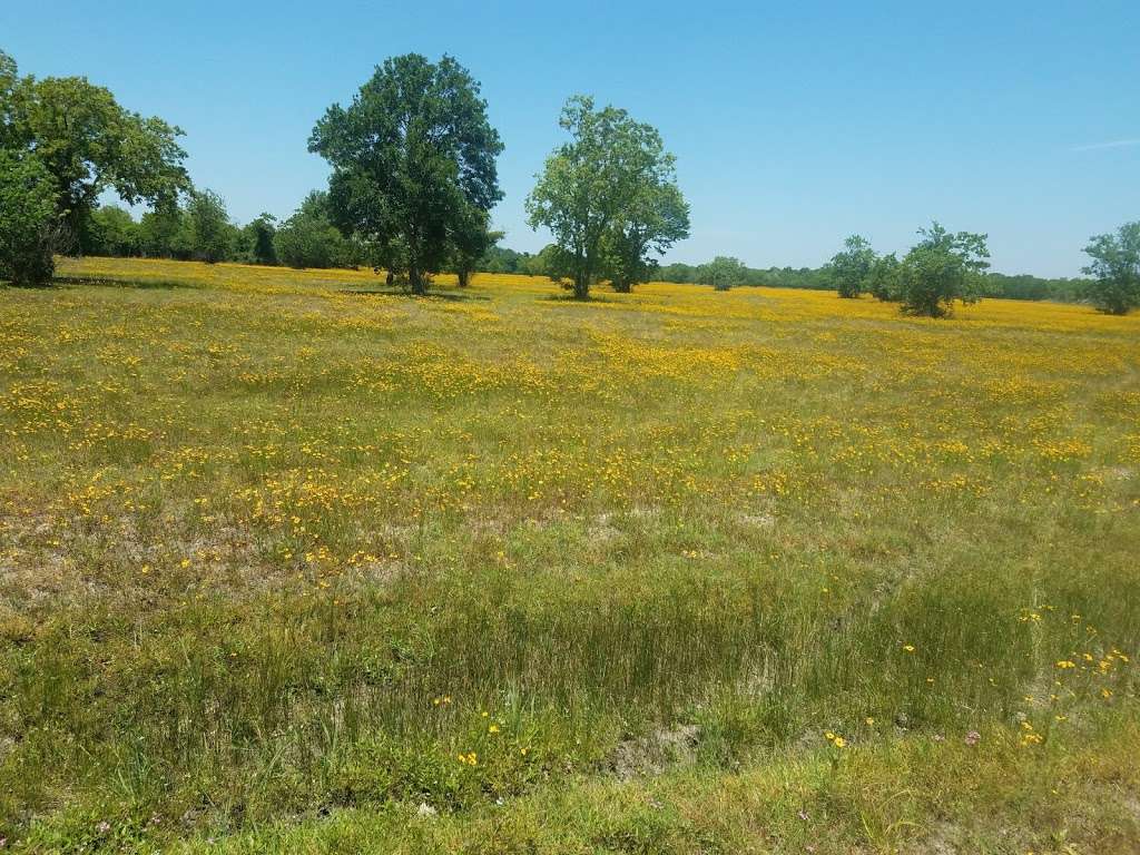 George Bush Park Bike Trail | Houston, TX 77082