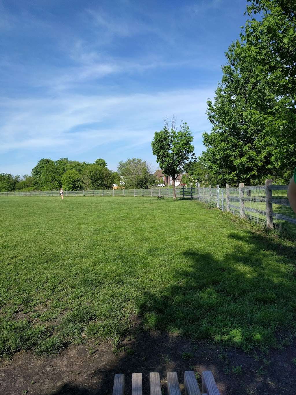 Daisy Dog Park | 13214 Blakely Dr, Plainfield, IL 60585, USA | Phone: (815) 436-8812