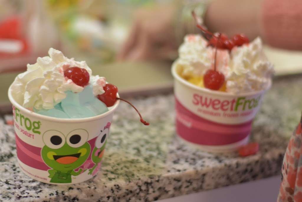 SweetFrog | 2721-E N Salisbury Blvd, Salisbury, MD 21801, USA | Phone: (443) 358-5111