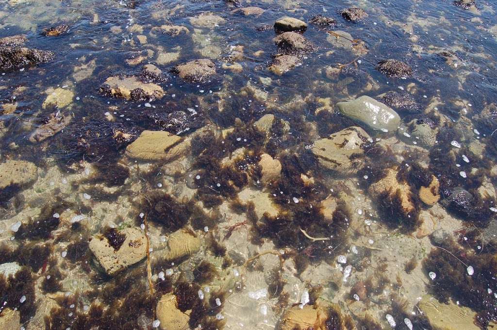 Leo Carrillo State Beach | 35000 Pacific Coast Hwy, Malibu, CA 90265, USA