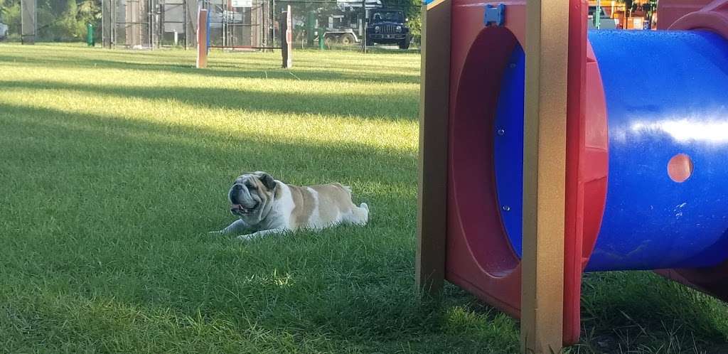 Community Public Dog Park at Halifax Humane Society, Inc. | 2364 Lpga Blvd, Daytona Beach, FL 32124, USA | Phone: (386) 274-4703