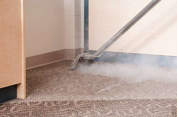 Carriage Carpets & Air Ducts Care | 9102 Carriage Ln, Manassas, VA 20110, USA | Phone: (703) 457-9889