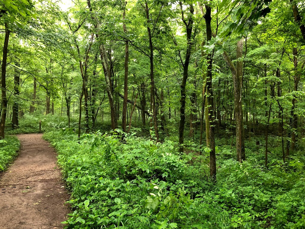 Withrow Nature Preserve | 7075 Five Mile Rd, Cincinnati, OH 45230, USA | Phone: (513) 521-7275