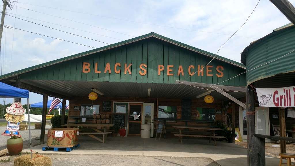 Blacks Peaches | 1800 Black Hwy, York, SC 29745, USA | Phone: (803) 684-2333