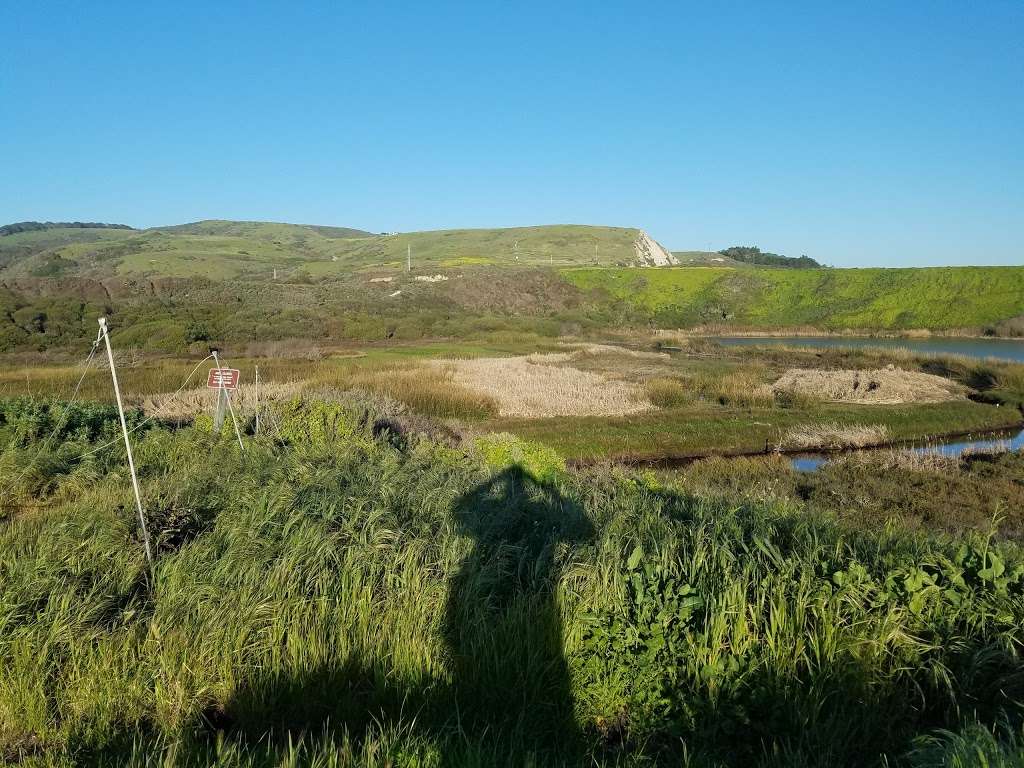 Coast Dairies State Park | Cabrillo Hwy, Santa Cruz, CA 95060, USA | Phone: (831) 423-9703