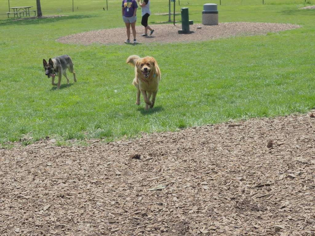 Spring Avenue Dog Park | 185 Spring Ave, Glen Ellyn, IL 60137 | Phone: (630) 858-2462