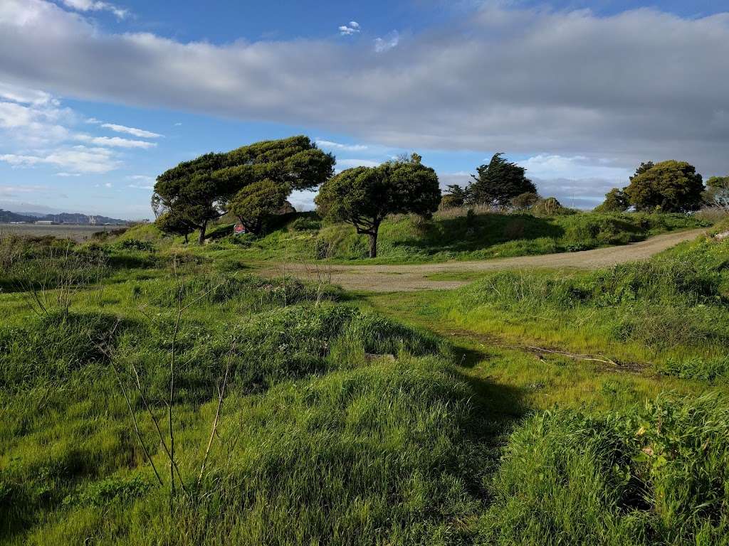 Golden Gate Fields | 1100 Eastshore Hwy, Berkeley, CA 94710, USA | Phone: (510) 559-7300 Golden Gate Fields | 1100 Eastshore Hwy, Berkeley, CA 94710, USA | Phone: (510) 559-7300