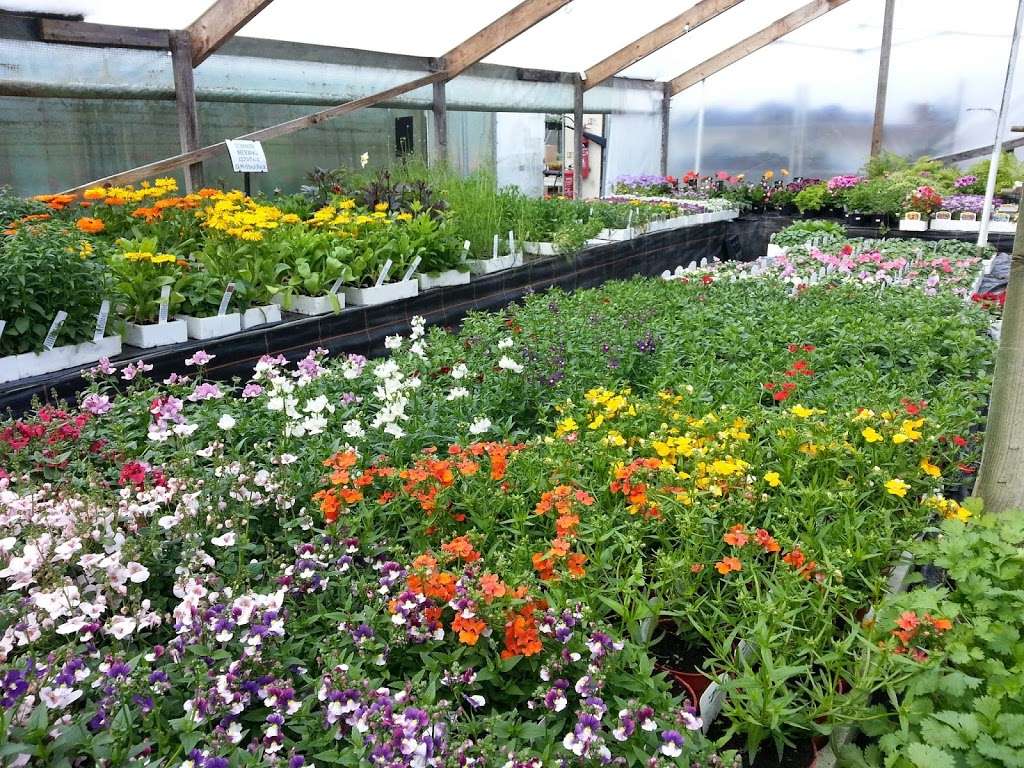 Top Pots | The Nursery, Westmill Farm, Ware SG12 0ES, UK | Phone: 01920 465026