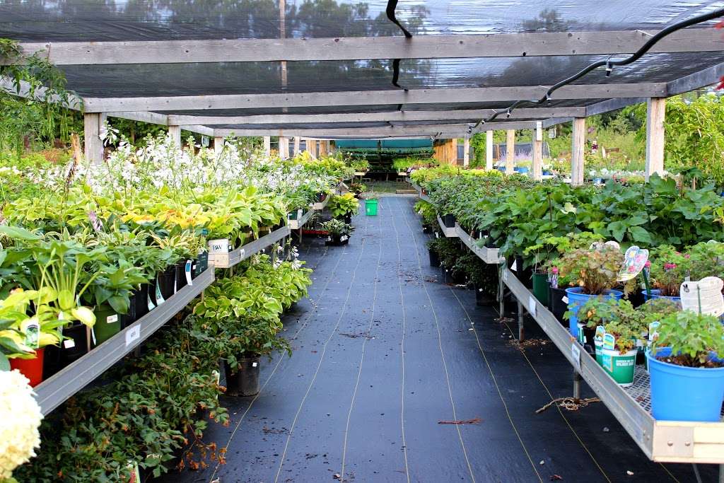 Northeast Nursery Contractor Center - 8 Dearborn Rd, Peabody, MA 01960 ...