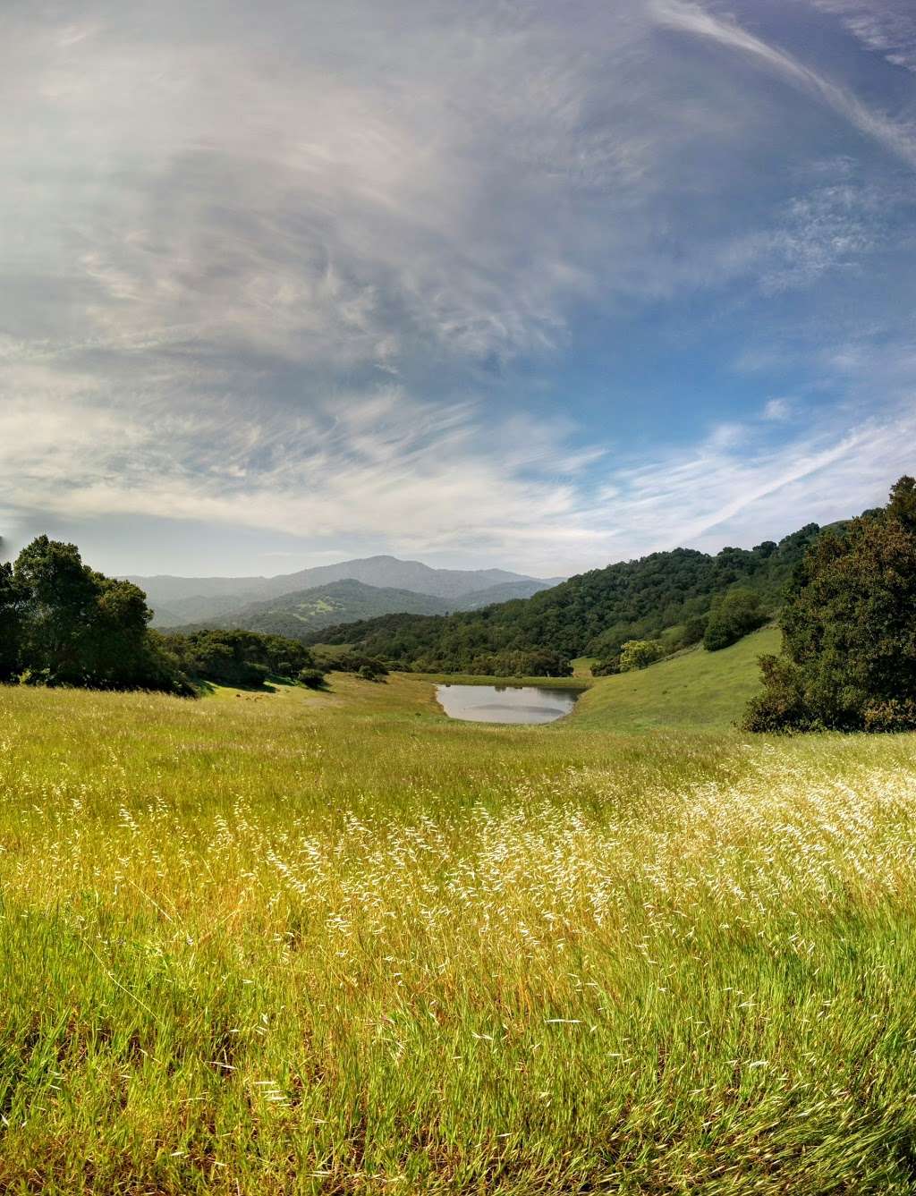 Rancho Cañada del Oro Open Space Preserve | 4289 Casa Loma Rd, Morgan Hill, CA 95037, USA | Phone: (408) 224-7476