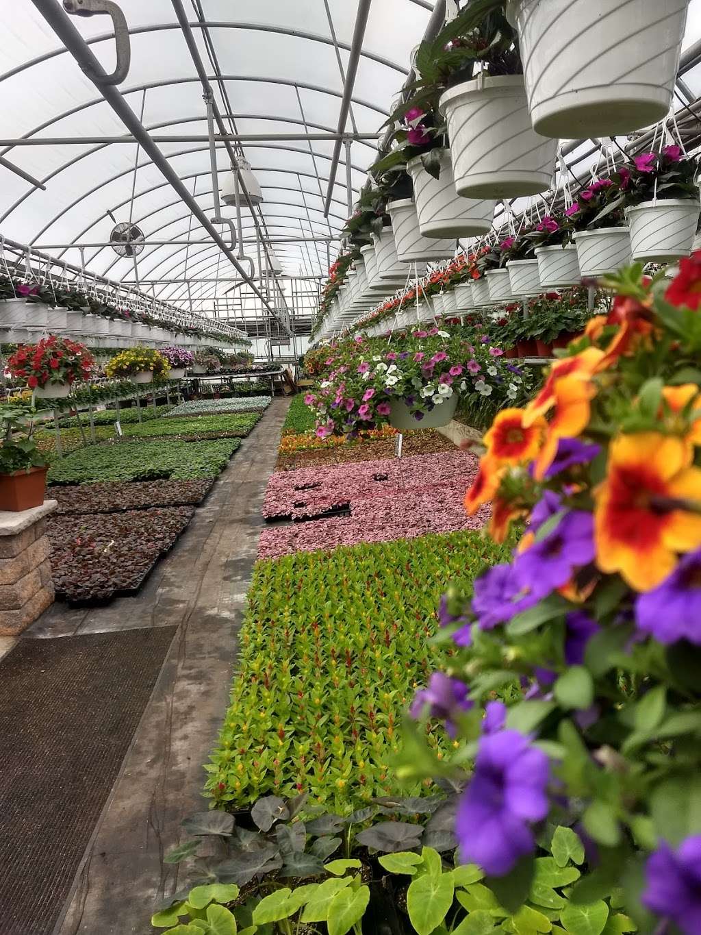 Schulmeister Greenhouses | 103 Spring Hill Rd, Matawan, NJ 07747, USA | Phone: (732) 721-6829