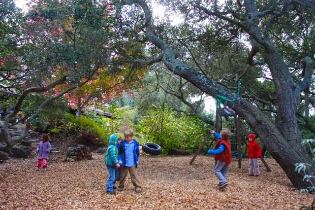 Rose Kindergarten | 5799 Oak Knoll Rd, El Sobrante, CA 94803 | Phone: (510) 223-8309