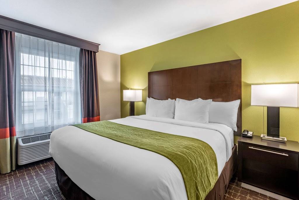 Comfort Inn San Diego Old Town | 2380 Moore St, San Diego, CA 92110 | Phone: (619) 291-9100