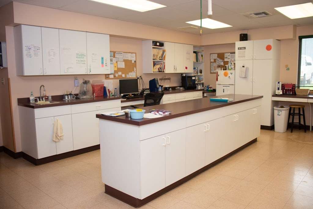 Companion Animal Hospital | 13100 W National Ave, New Berlin, WI 53151 | Phone: (262) 789-1954