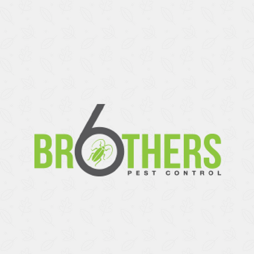 Six Brothers Pest Control | 3091, 5717, N Delta Ave, Kansas City, MO 64151 | Phone: (913) 703-7373