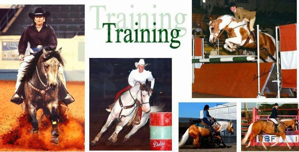 Ackerman Performance Horses | 22935 Co Rd 33, La Salle, CO 80645, USA | Phone: (970) 284-5599