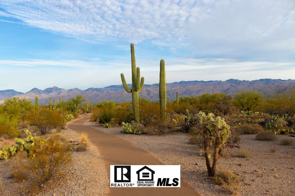 Resource 4 Real Estate | 1424 N Hamilton Pl, Chandler, AZ 85225, USA | Phone: (480) 681-6873