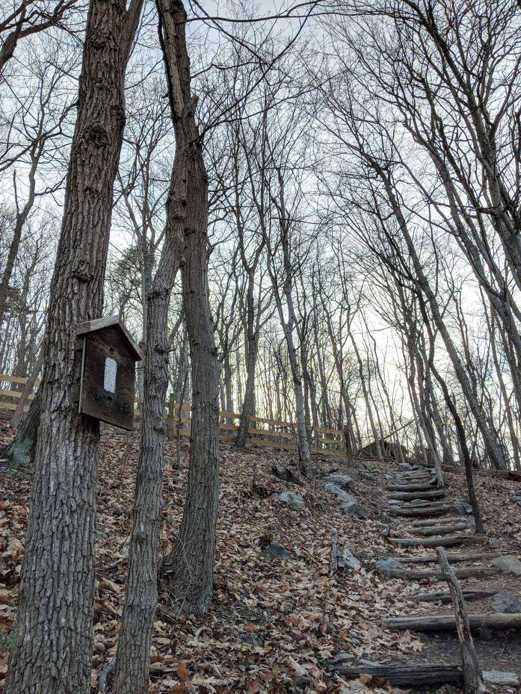 Appalachian Trail | Appalachian Trail, Bluemont, VA 20135, USA